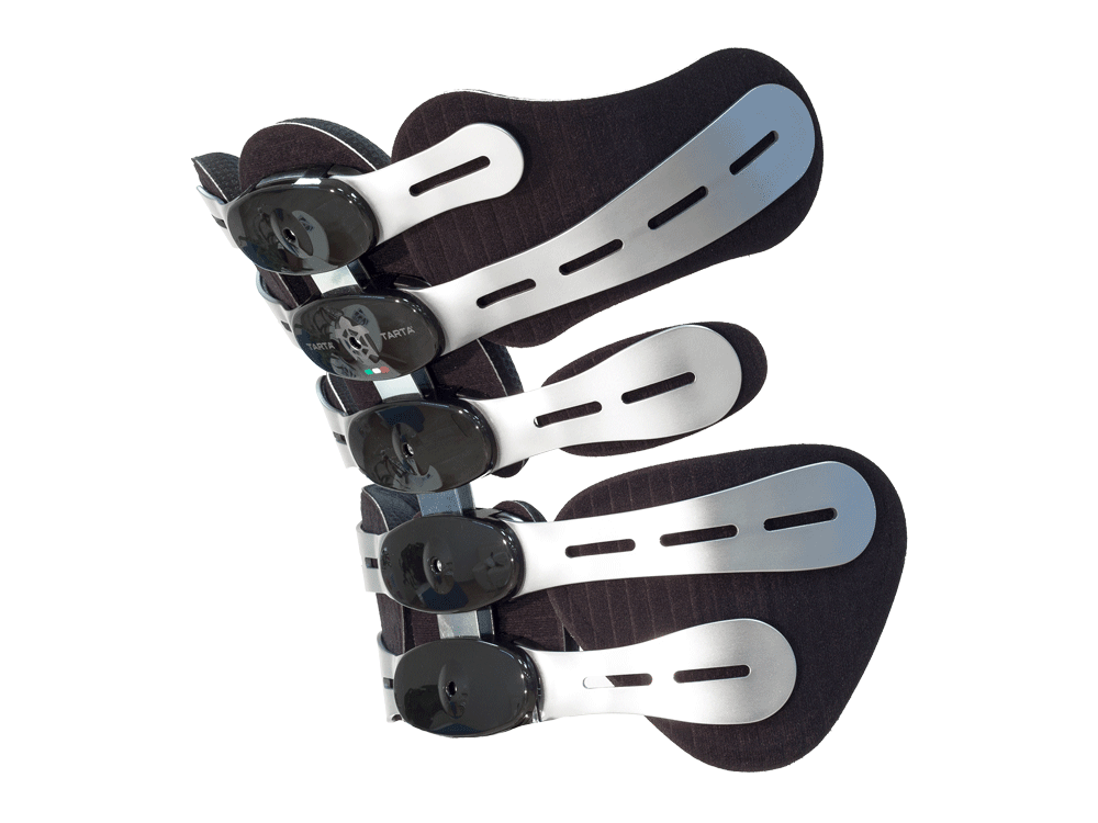 Tarta flexible spine-and-rib wheelchair backrest