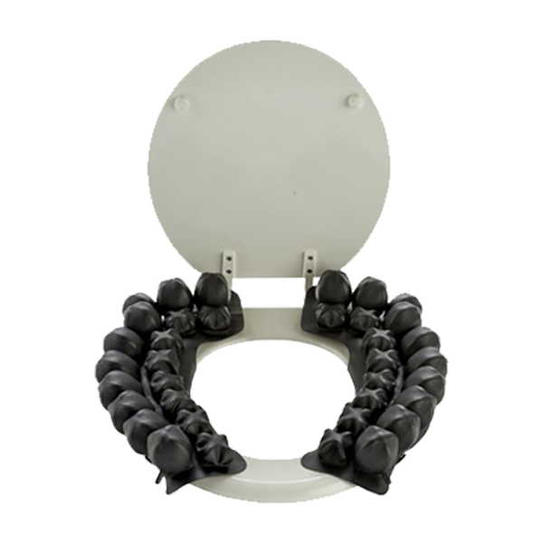 Roho Toilet Seat Cushion